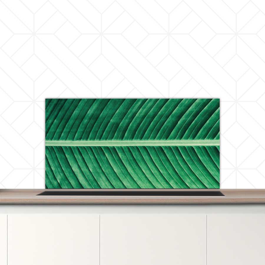 Spatscherm - Groen blad