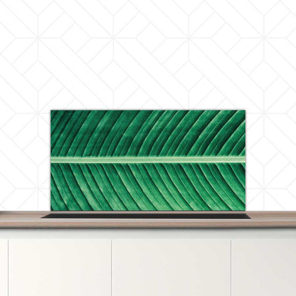 Spatscherm - Groen blad