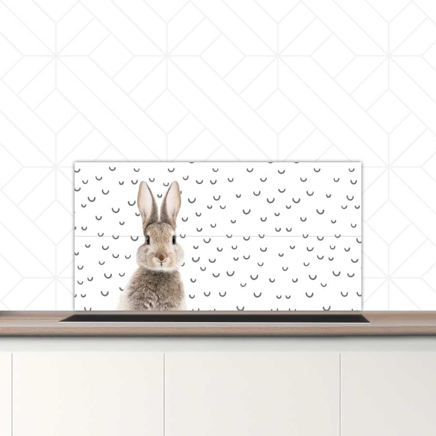 Spatscherm - Funny konijn fugler