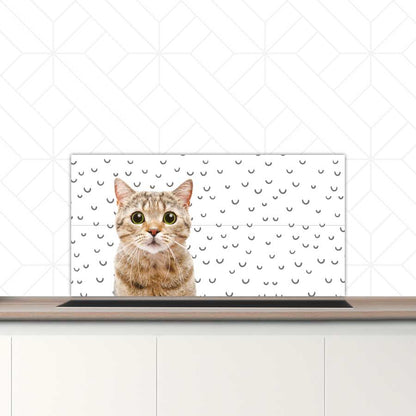 Spatscherm - Funny kat fugler