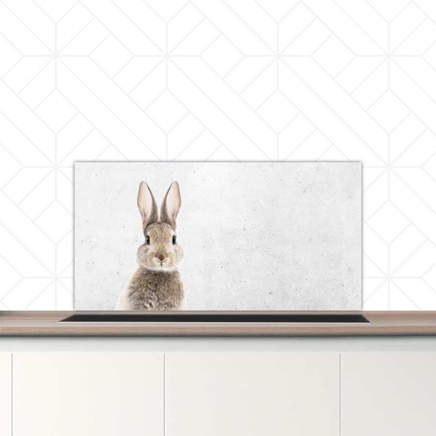 Spatscherm - Funny konijn beton