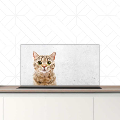 Spatscherm - Funny kat beton