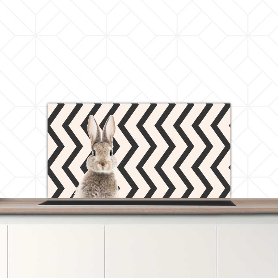 Spatscherm - Funny konijn zigzag