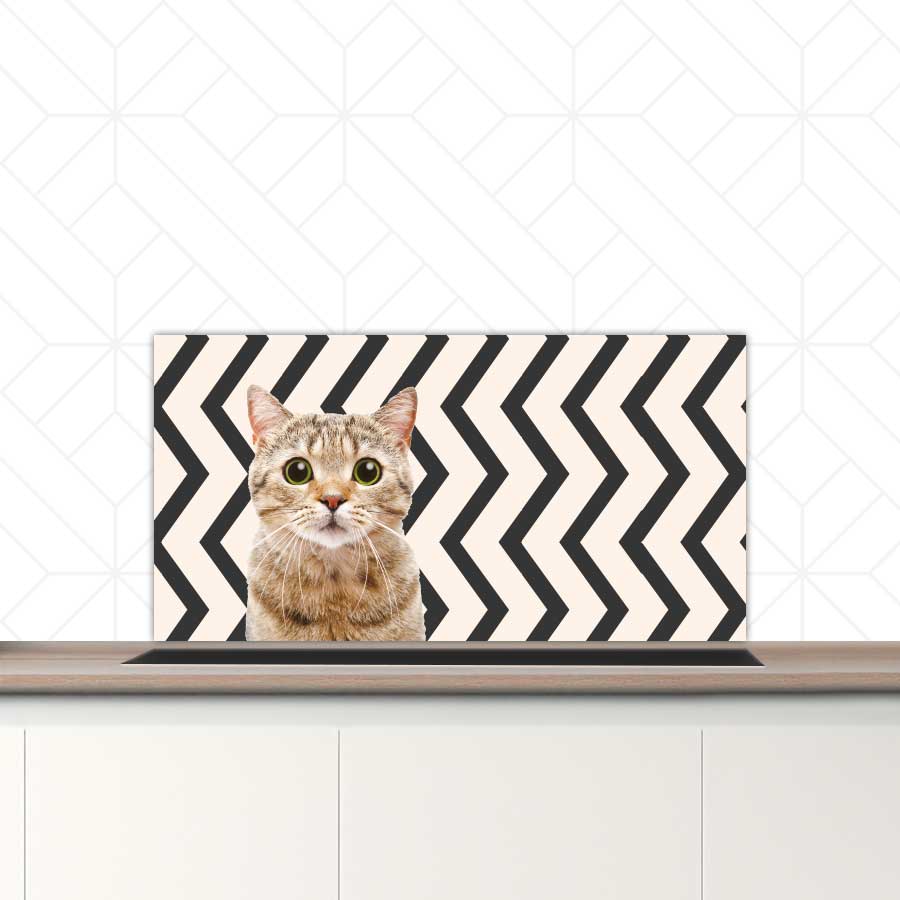 Spatscherm - Funny kat zigzag
