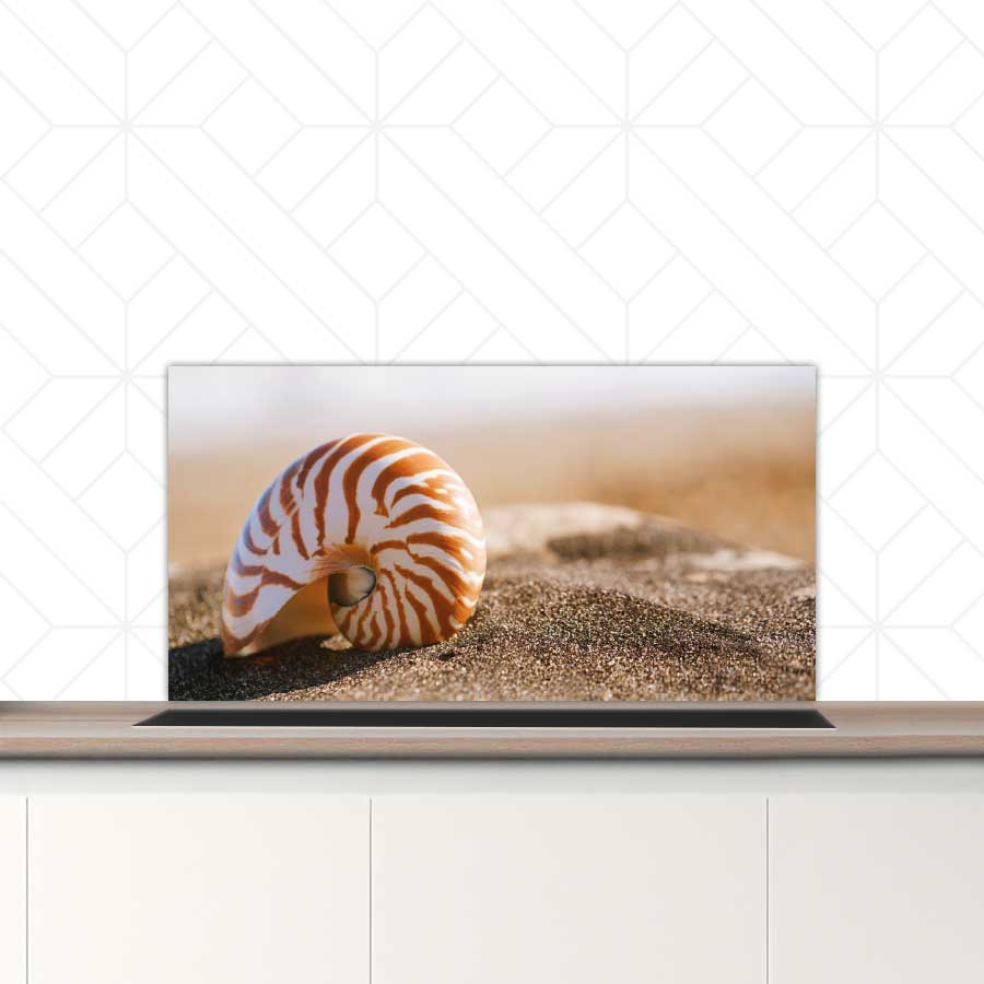 Spatscherm - Zeeschelp