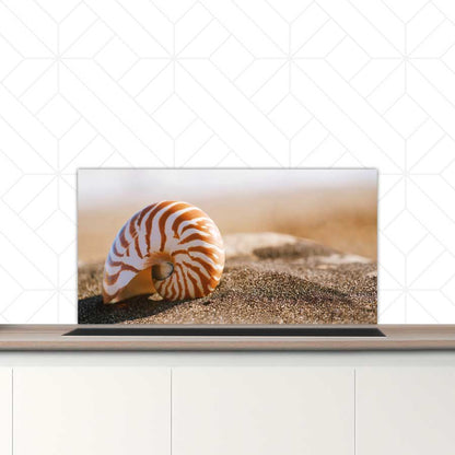 Spatscherm - Zeeschelp