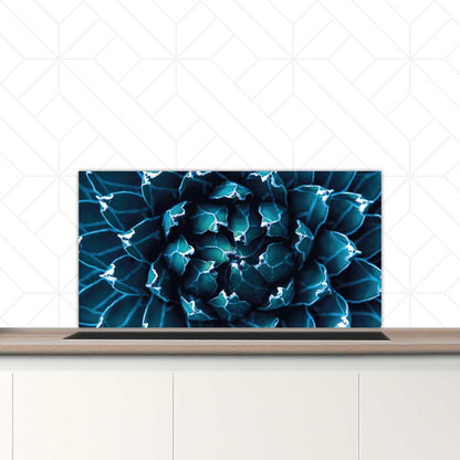 Spatscherm - Blauwe agave