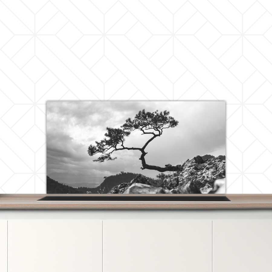 Spatscherm - Overhangende boom