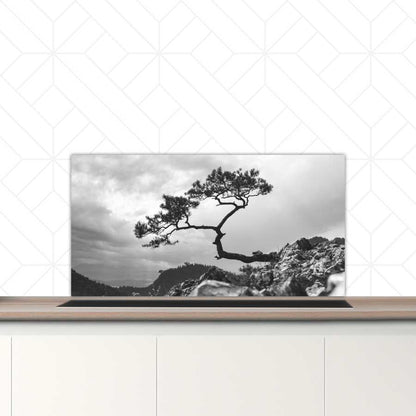 Spatscherm - Overhangende boom