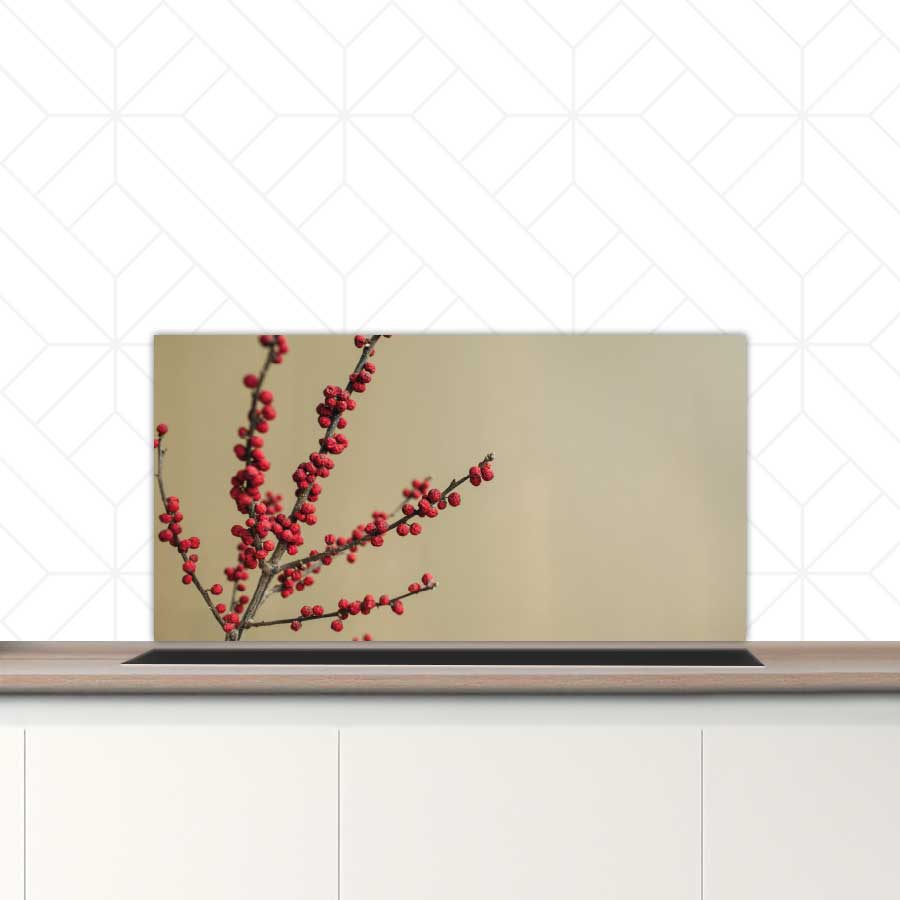 Spatscherm - Rode bessen