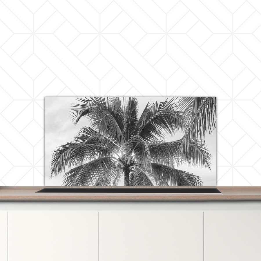 Spatscherm - Palmboom