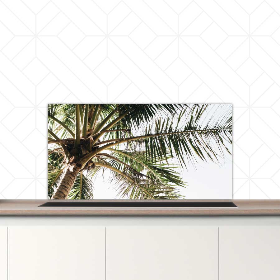 Spatscherm - Palmstrand