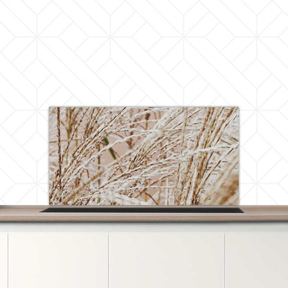 Spatscherm - Droge rietstengels