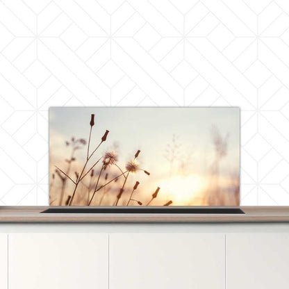 Spatscherm - Dandelion zonsondergang