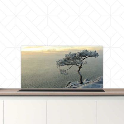 Spatscherm - Winterboom