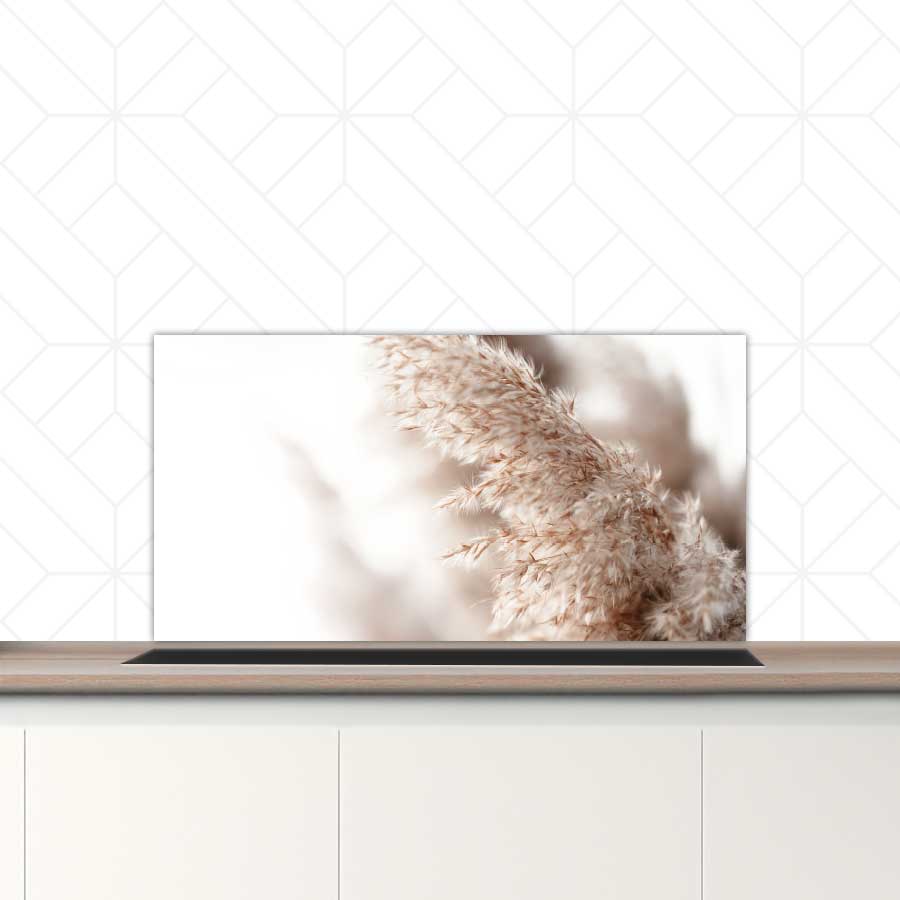 Spatscherm - Pampas gras