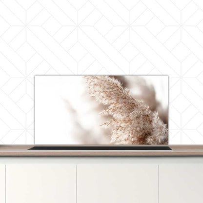 Spatscherm - Pampas gras