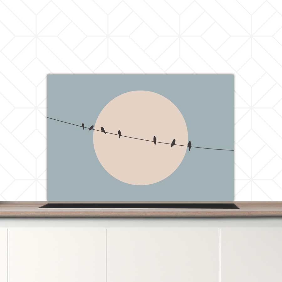 Spatscherm - Vogels op een draad