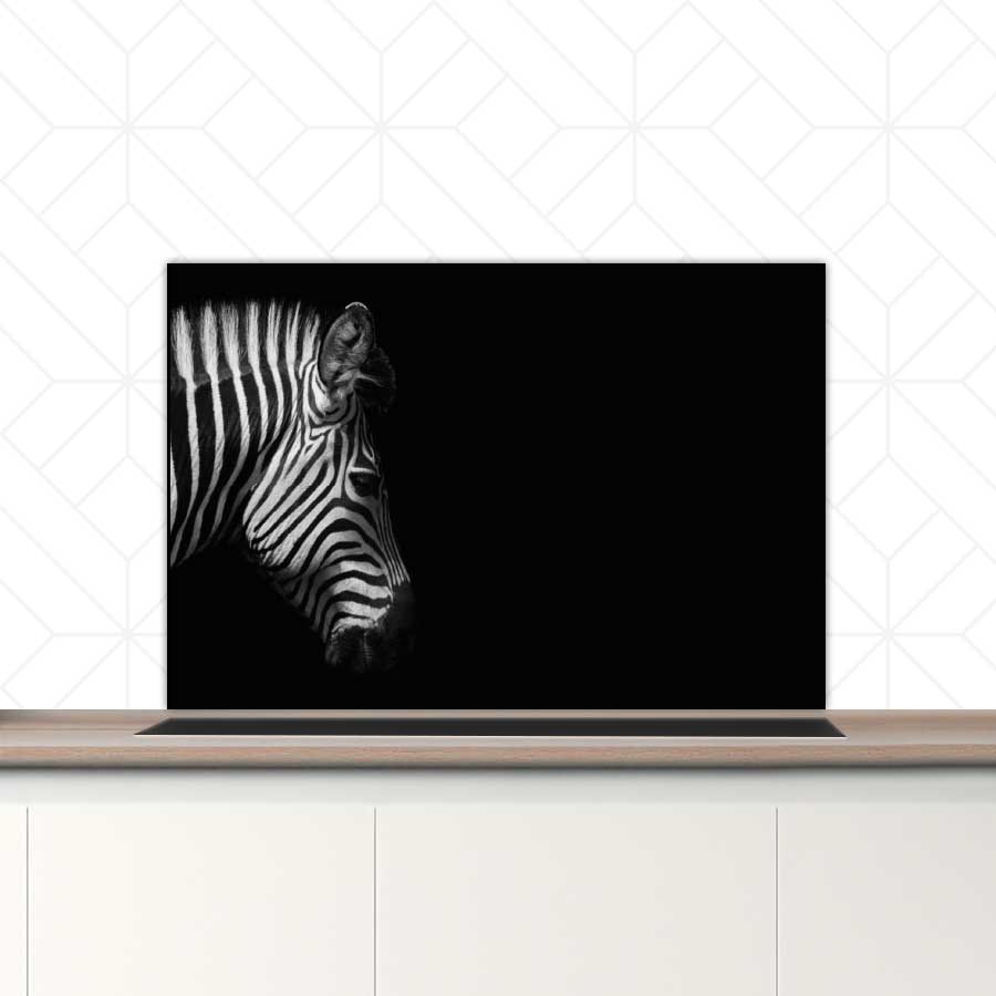 Spatscherm - Zebra