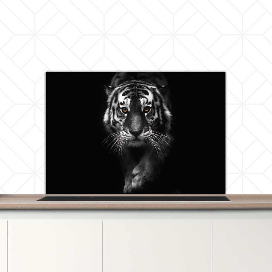 Spatscherm - Tijger