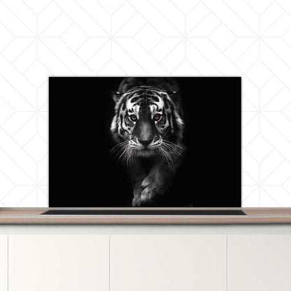 Spatscherm - Tijger