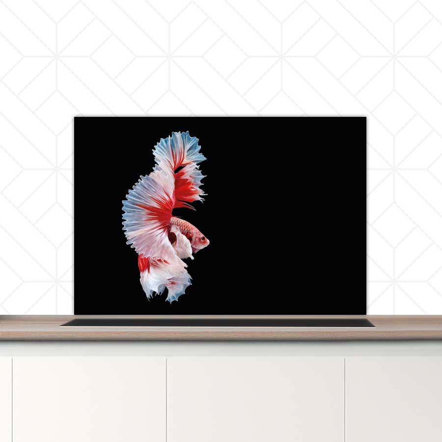 Spatscherm - Betta vis