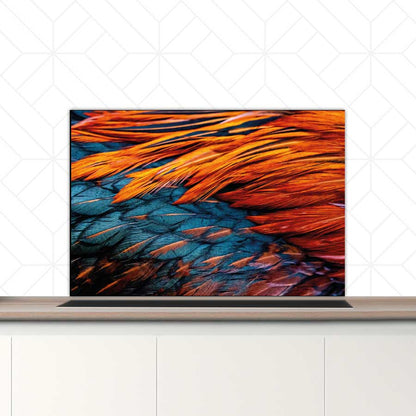 Spatscherm - Hanenveer