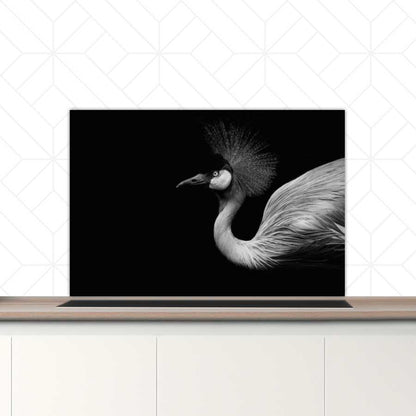 Spatscherm - Kraanvogel