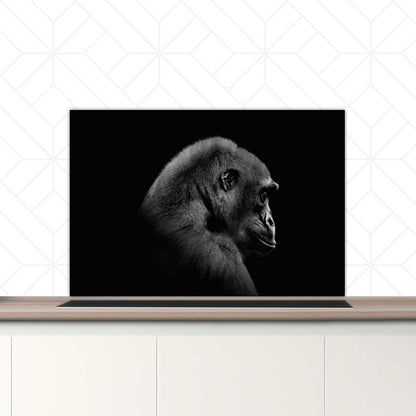 Spatscherm - Gorilla