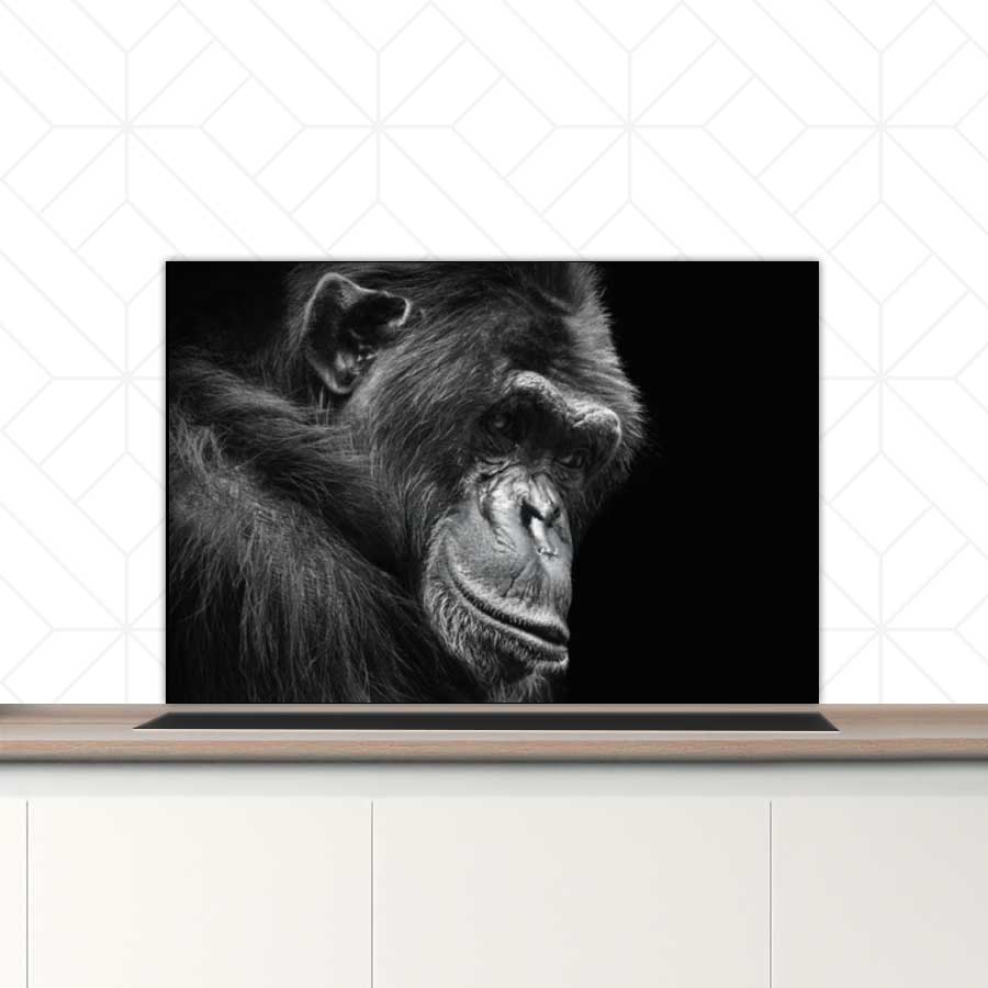Spatscherm - Chimpansee