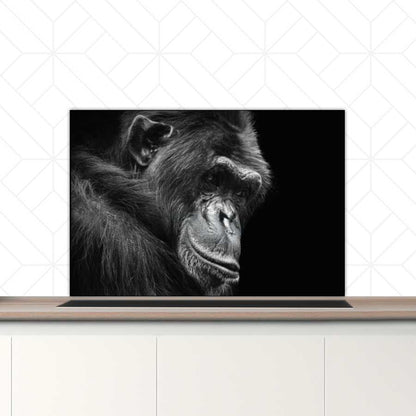 Spatscherm - Chimpansee