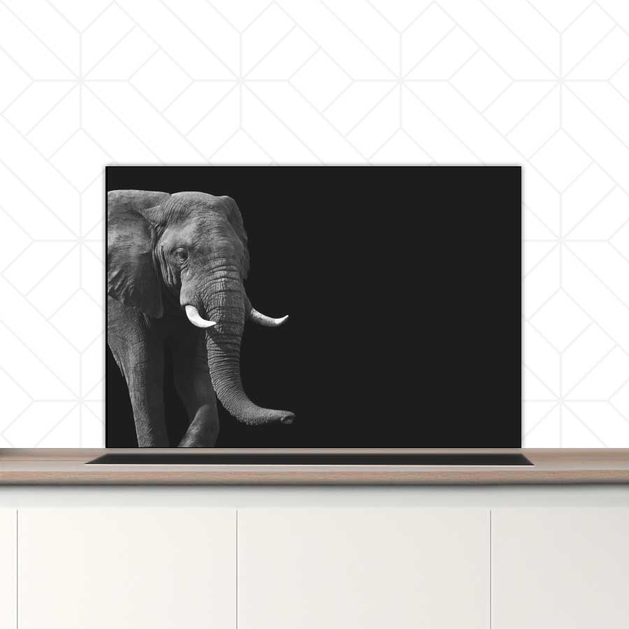 Spatscherm - Afrikaanse olifant