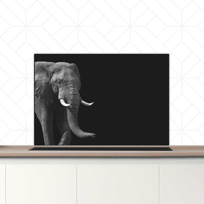 Spatscherm - Afrikaanse olifant