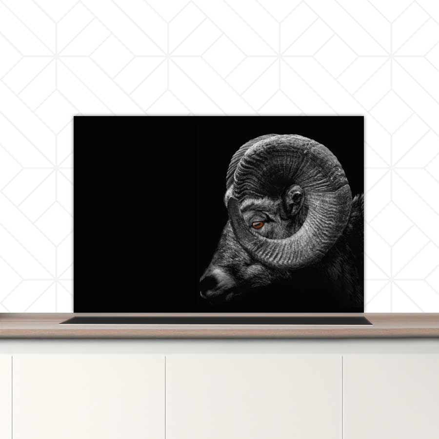 Spatscherm - Ram