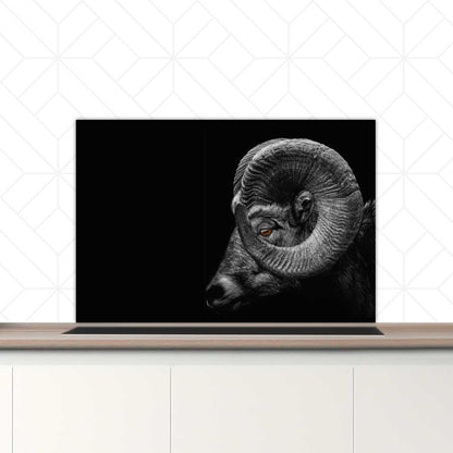 Spatscherm - Ram