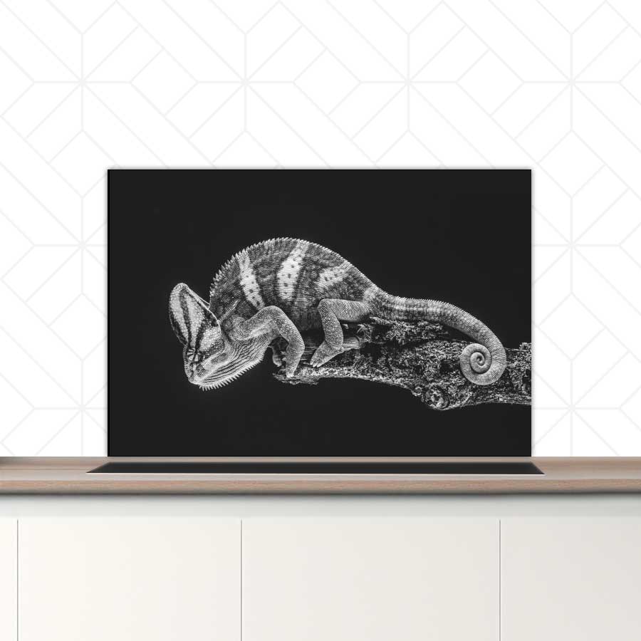 Spatscherm - Kameleon