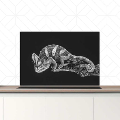 Spatscherm - Kameleon