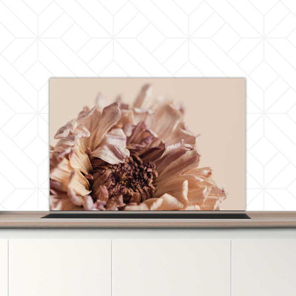 Spatscherm - Gedroogde chrysant