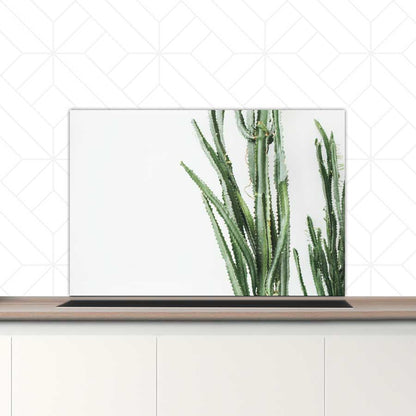 Spatscherm - Cactus