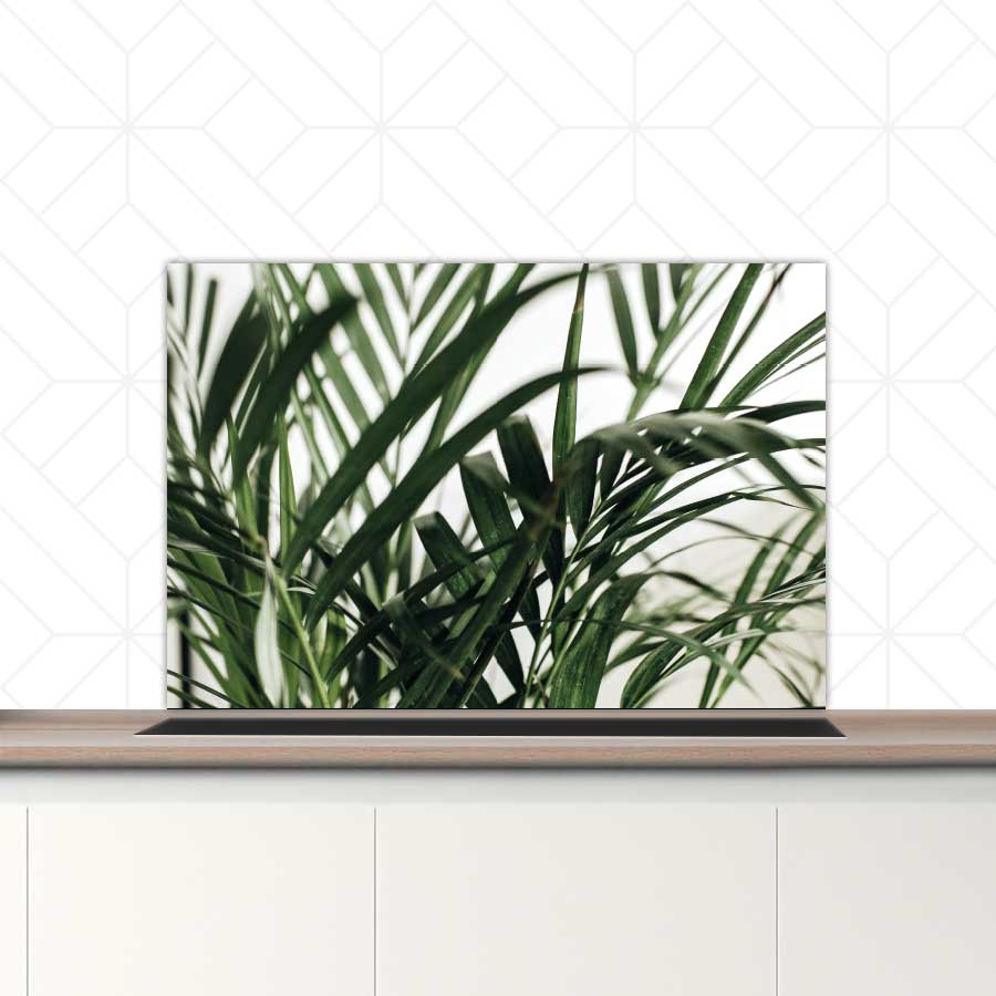 Spatscherm - Palm bladeren