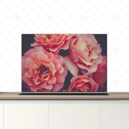 Spatscherm - Rozen close-up