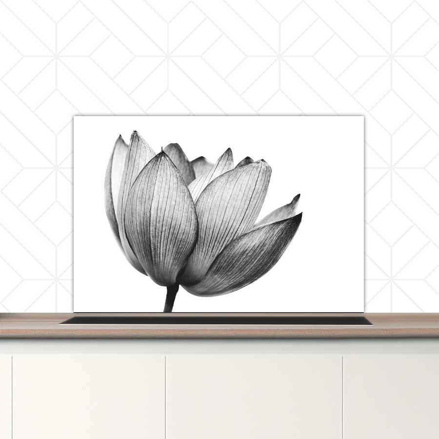 Spatscherm - Lotus in zwart-wit