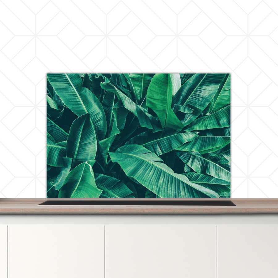Spatscherm - Tropische bladeren