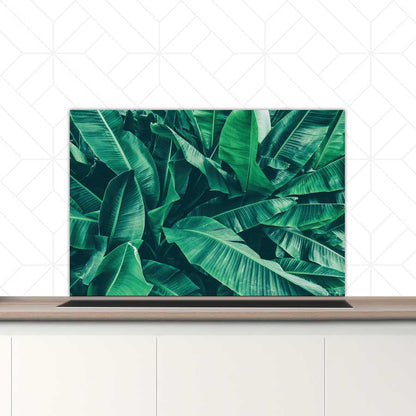Spatscherm - Tropische bladeren