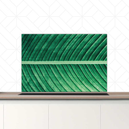 Spatscherm - Groen blad