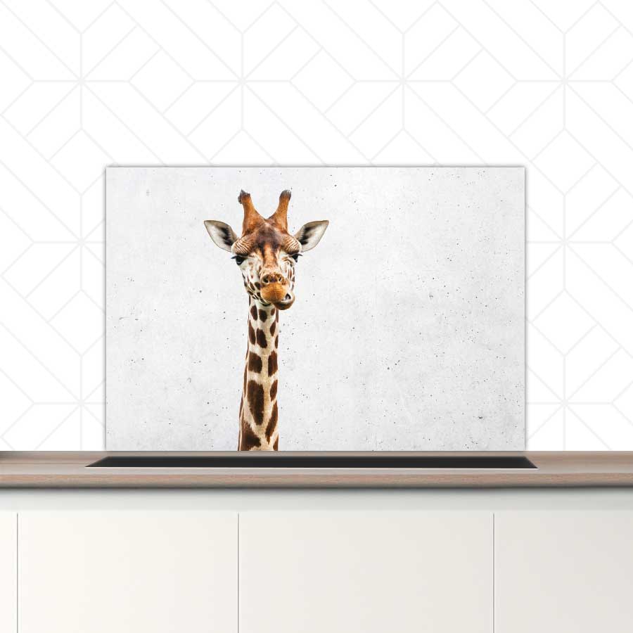 Spatscherm - Funny giraf beton