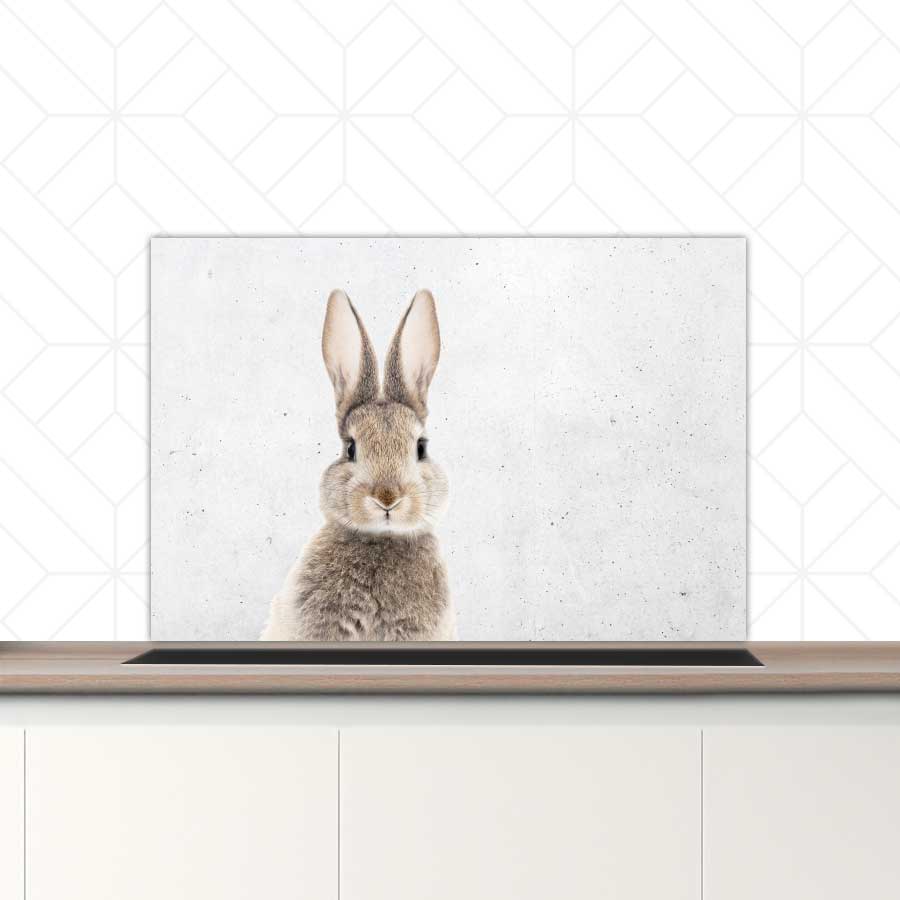Spatscherm - Funny konijn beton