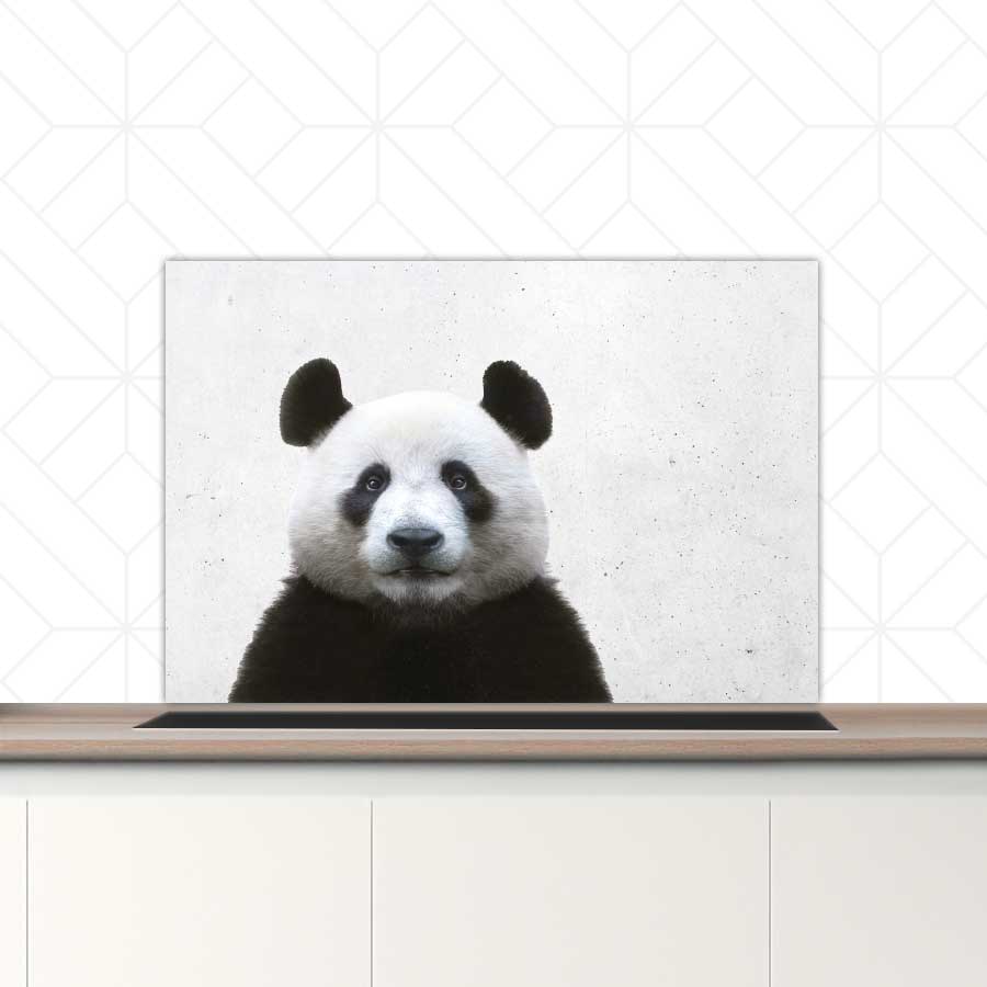 Spatscherm - Funny panda beton