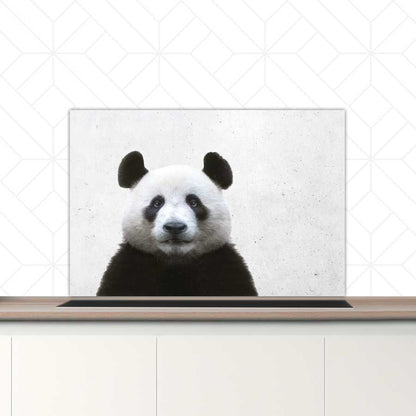 Spatscherm - Funny panda beton