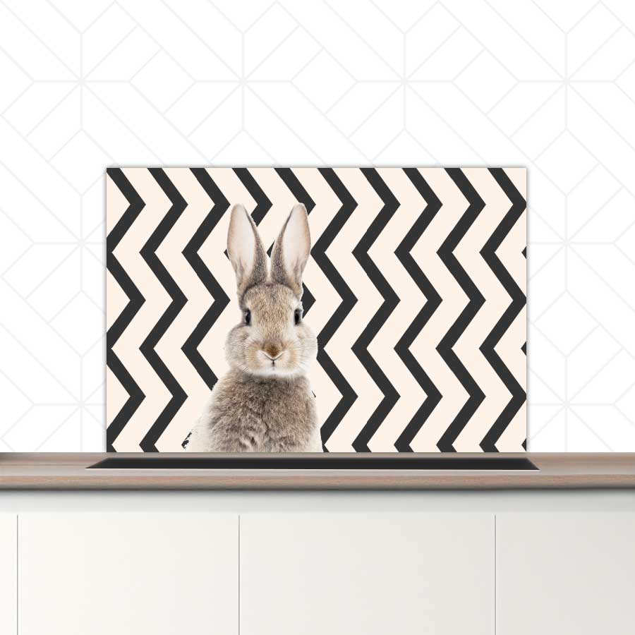 Spatscherm - Funny konijn zigzag